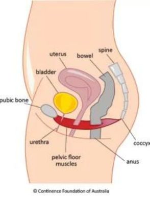 Anal Incontinence Surgery in hyderabad